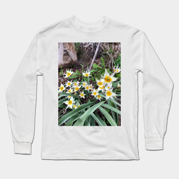 Tulips Long Sleeve T-Shirt by Gourmetkater
